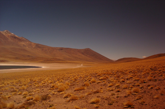 Streams in the desert