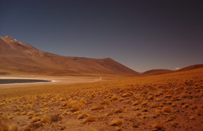 Streams in the desert